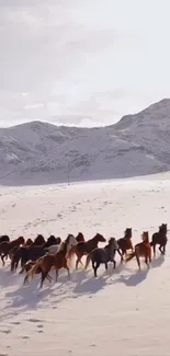 Horse Winter Snow Live Wallpaper