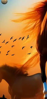 Horses galloping at sunset with birds flying above.