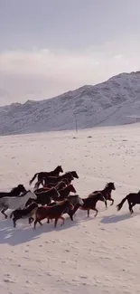 Wild horses galloping in snowy mountainscape.