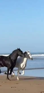 Two horses gallop along the beach shoreline.