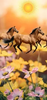 A scenic wallpaper of horses galloping across a pink and yellow flower field under the sun.