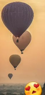 Hot air balloons at sunset over scenic landscape.