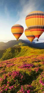 Colorful balloons over a scenic green field.