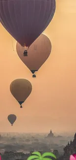 Hot air balloons float over a misty landscape at sunrise, with added floral emojis.