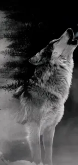 Artistic black and white wolf howling wallpaper.