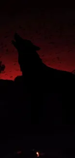 Silhouette of a howling wolf against a fiery red sunset sky.