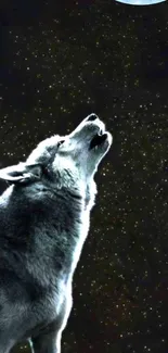 Wolf howling at the moon with starry night background.