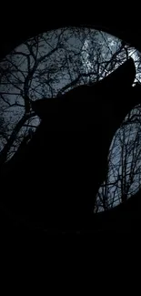 Howling wolf silhouette against night sky.