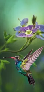 Vibrant hummingbird near a purple flower on green background.