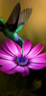 Hummingbird delicately sips from a vibrant purple flower.