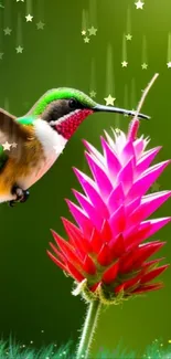 Hummingbird feeds on a pink flower with a green background.