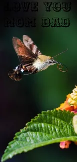 Hummingbird hovering near colorful flowers with text saying love you mom dad.