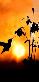 Hummingbird silhouetted against a vibrant sunset with orange hues and flowers.