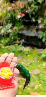 Hummingbird sipping nectar in lush garden setting.