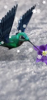 Hummingbird hovering over flower with snowflakes.