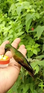 Hummingbird sitting on hand among lush greenery.