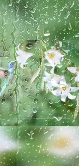 Hummingbird and lilies behind rainy glass