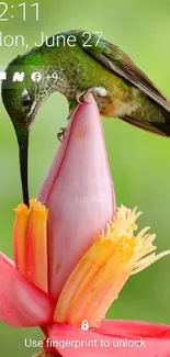 Hummingbird perched on a pink flower against a green background.