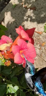 Hummingbird near pink flowers with green leaves in sunlight.