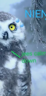 Humorous owl in a snowy forest wallpaper for mobile screen.