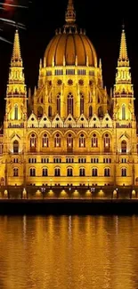 Hungarian Parliament illuminated at night with reflection.