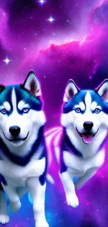 Husky dogs against a vibrant purple cosmic nebula backdrop.