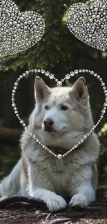 Husky in a forest with diamond hearts overlay.