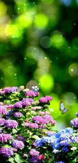 Vibrant hydrangeas and butterflies in lush green background.