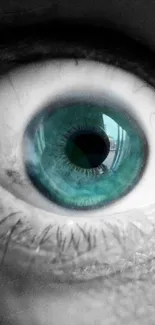 Close-up of a blue eye with teal iris and detailed textures.