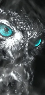 Owl with turquoise eyes on a dark background, perfect for mobile wallpaper.