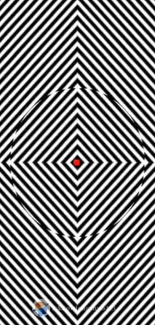 Black and white striped optical illusion with red center.