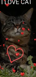 Adorable brown tabby cat with heart shape on I Love Cat wallpaper.