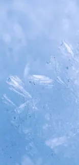 Close-up of ice crystals on a blue background, creating a cold and serene visual.