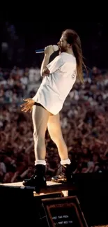 Concert performer on stage with crowd background.