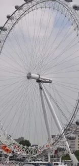 Stunning view of the London Eye on a clear day, perfect for mobile wallpaper.