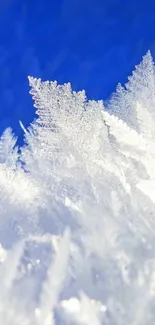 Icy crystal formations against bright blue.