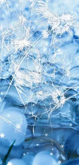 Abstract icy bubbles with blue hues create a serene winter-themed wallpaper.