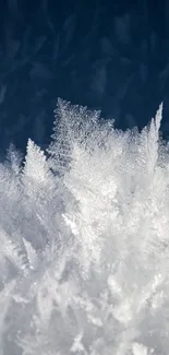 Icy crystal wallpaper with blue hues and intricate frost patterns.