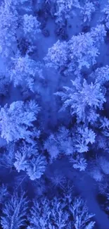 Aerial view of snow-covered trees in a blue-toned forest landscape.