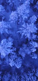 Aerial view of a snowy, icy blue forest in winter.