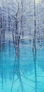 Snowy forest reflected in icy blue water.