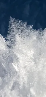 Frozen ice crystals on a navy background wallpaper.