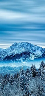 Icy mountain landscape with snow-covered trees and blue sky.