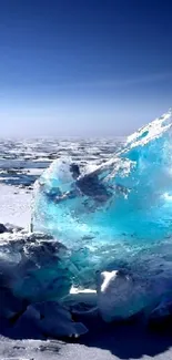 Blue glaciers on an icy ocean under clear skies.