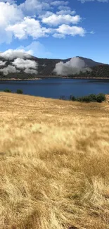 Golden field and blue lake with mountains under a cloudy sky.