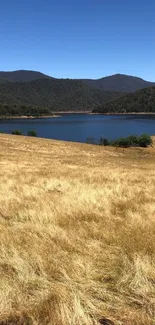 Serene lakeside with golden fields under clear sky.