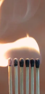 Six matchsticks with burning flame artfully captured.