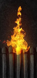 A matchstick ignites in bright flames against a dark background.