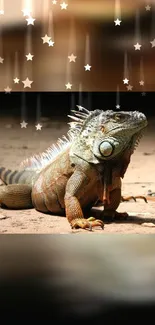 Iguana resting on sand with starry backdrop, perfect for phone wallpaper.