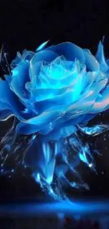 Illuminated blue rose with glowing effect on dark background.